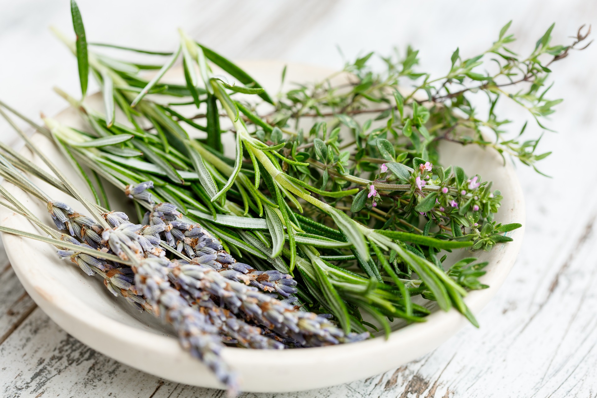 Polish herbs